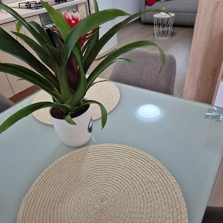 Apartments Duje Split Room photo