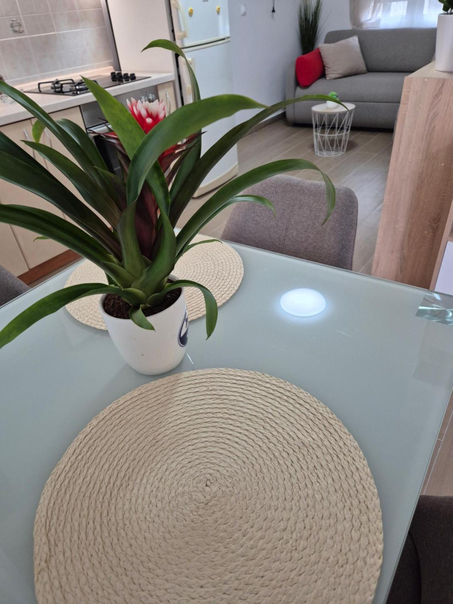 Apartment Duje *